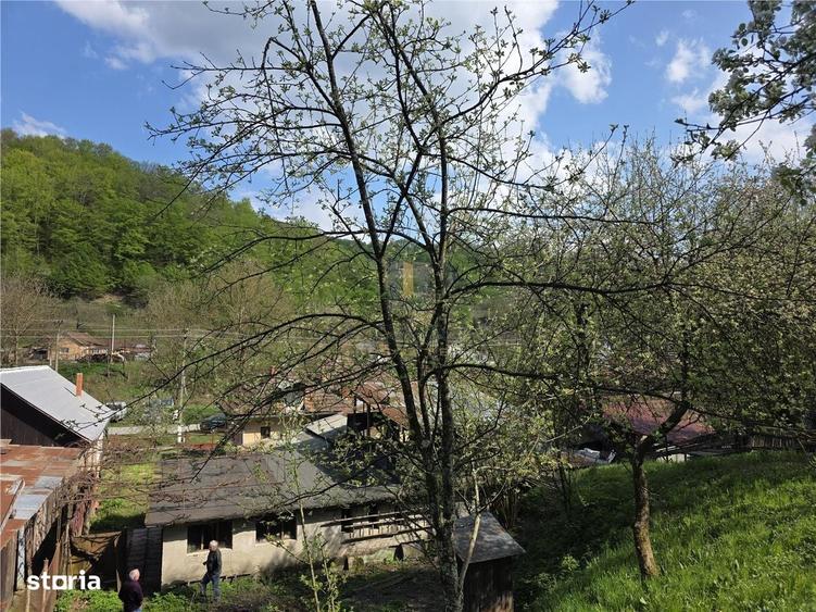 Casă cu 3 camere cu Teren 3748 Mp în Nădrag
