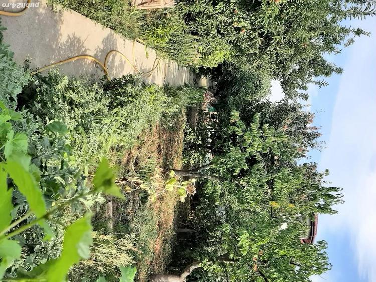 Casă cu 2 camere cu Teren 1535 Mp în Central