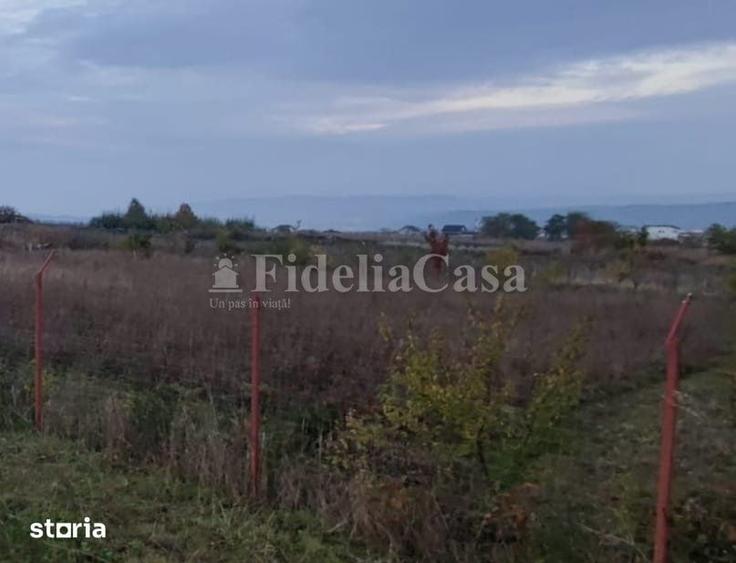 Teren de 1560 mp, în Rediu