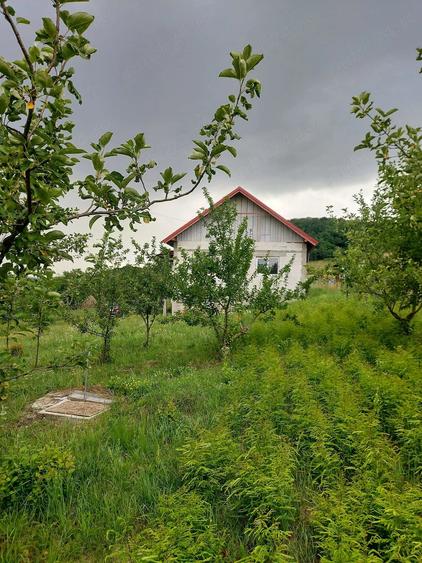 Casă cu 4 camere cu Teren 11988 Mp în Aghireșu