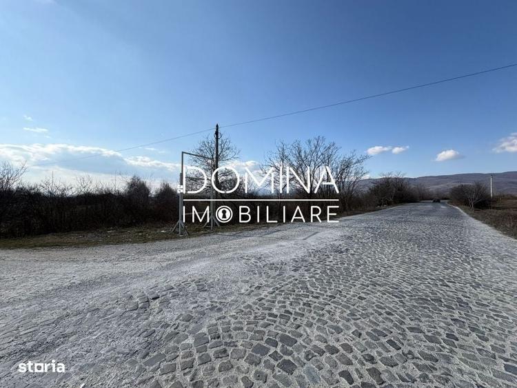 Spațiu comercial, în Lelești