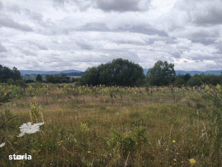 Teren de 4594 mp, în Gălănești
