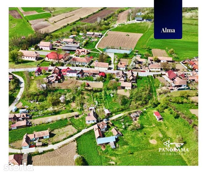 Teren Intravilan cu cabana in satul transilvanean Alma - 15