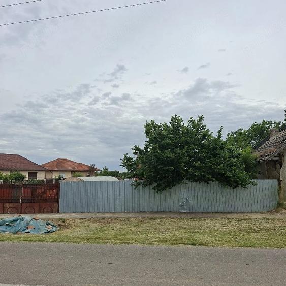 Teren de 500 mp, în Ciuperceni