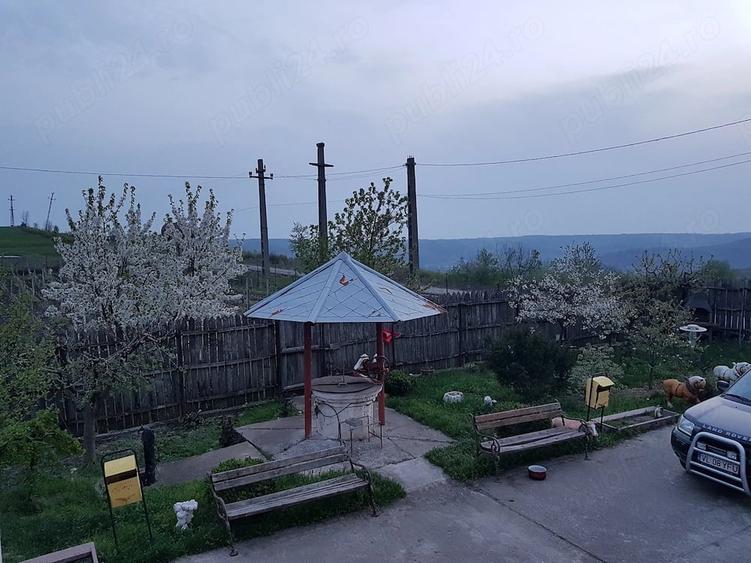 Casă cu 15 camere cu Teren 6500 Mp în Sutești