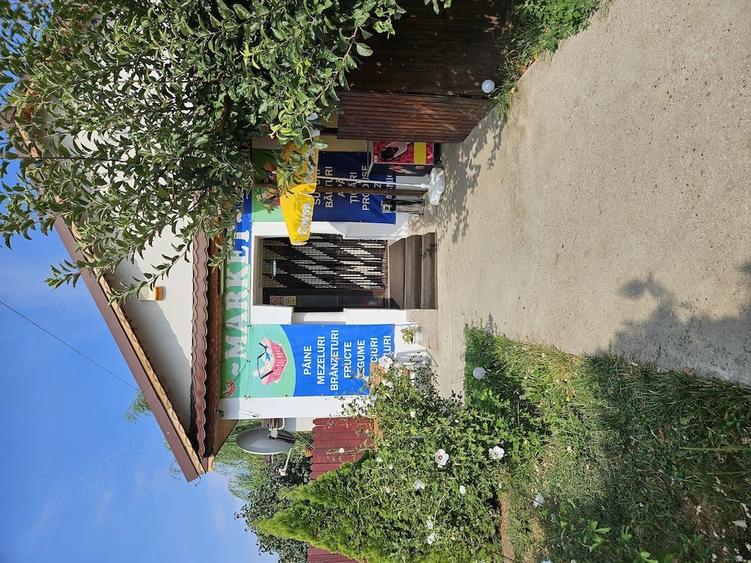 Casă cu Teren 2500 Mp în Căzănești