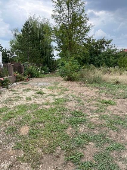 Teren Construcții intravilan de 3774 mp, în Bălteni