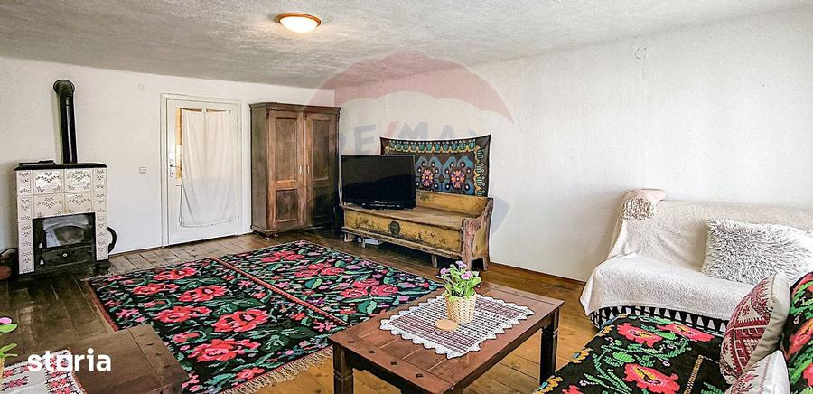 Casă cu 4 camere cu Teren 1631 Mp în Bruiu