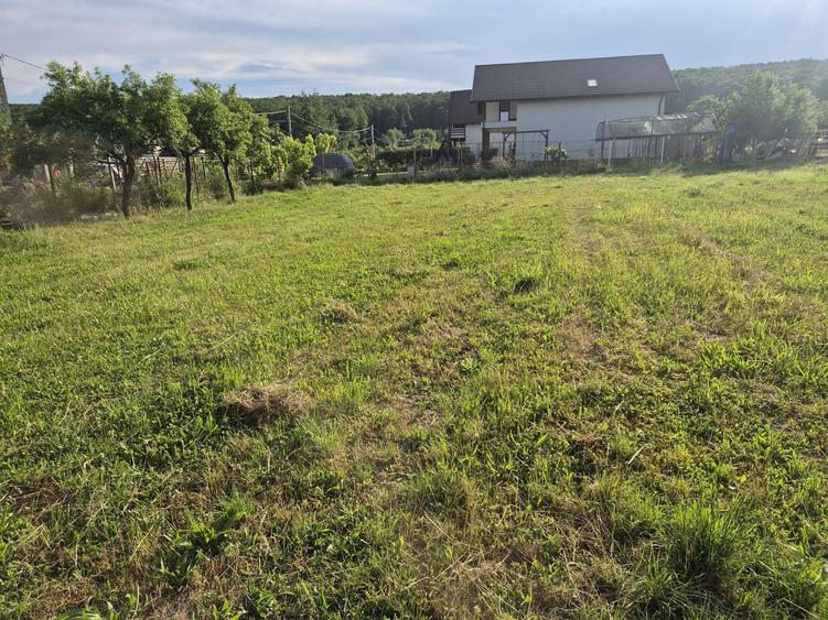 Teren de 820 mp, în Smeura