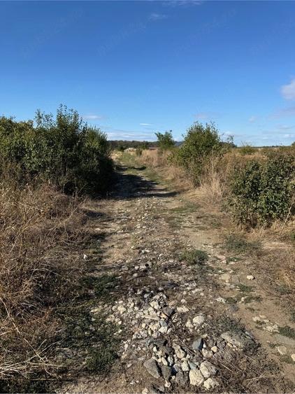 Teren de 1500 mp, în Săbăreni