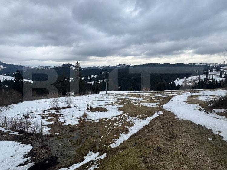 Teren Construcții intravilan de 5000 mp, în Nord