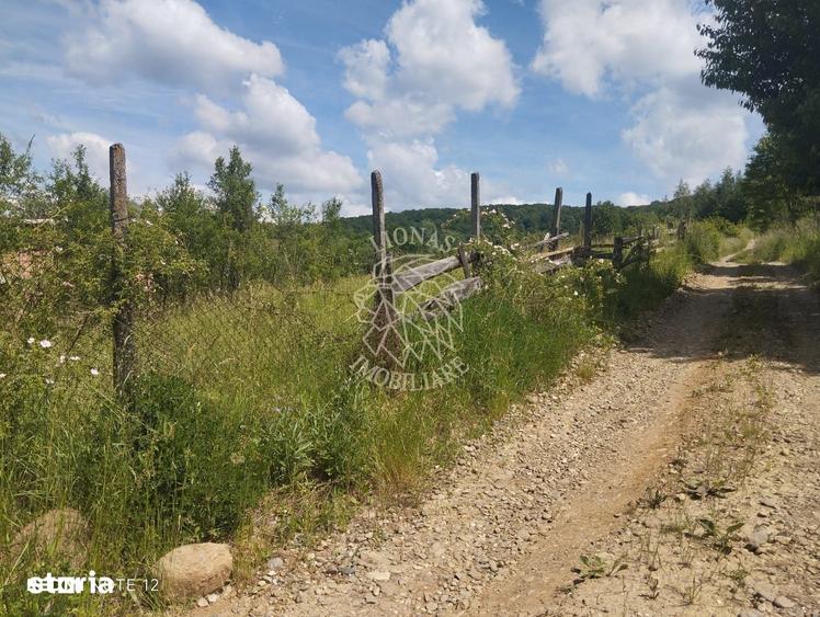 Teren de 40000 mp, în Central