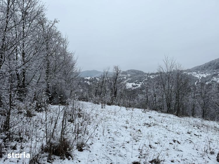Teren de 3824 mp, în Provița de Jos