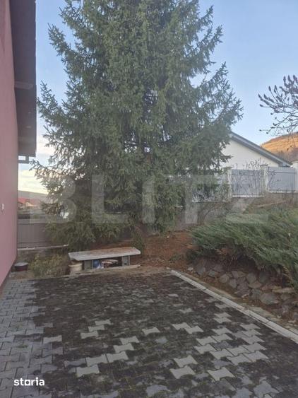 Casa spatioasa de vanzare in Sancrai cu 13 ari de teren - 2