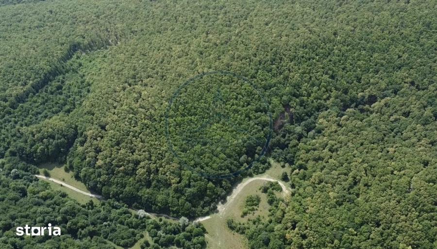 OPORTUNITATEA RARA DE INVESTI?IE- PADURE DE VANZARE 38,24 HA- MINT - 1
