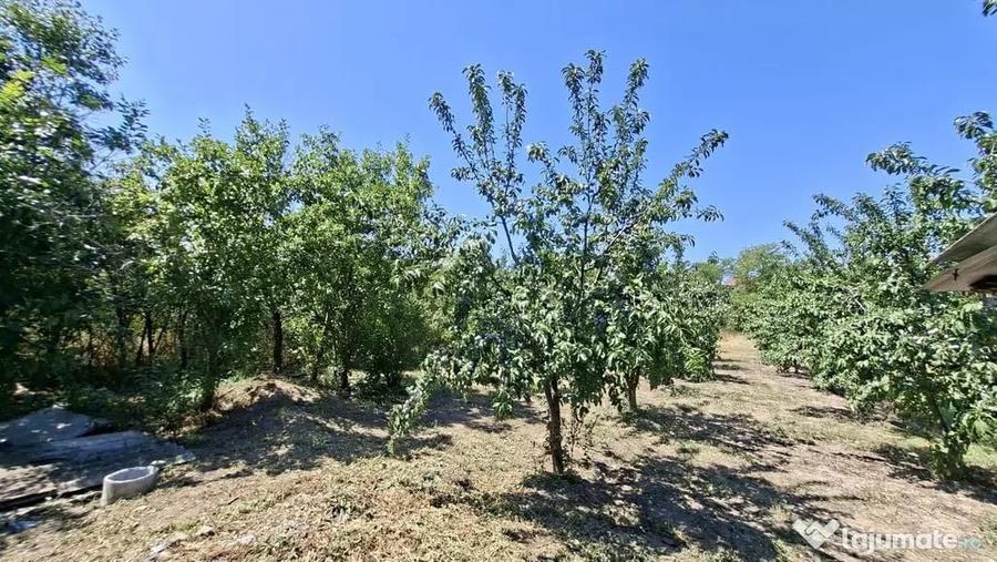 Casă cu 3 camere cu Teren 1667 Mp în Teiu