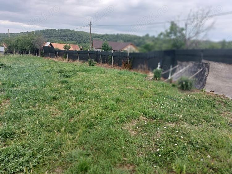 Teren de 1530 mp, în Erghevița