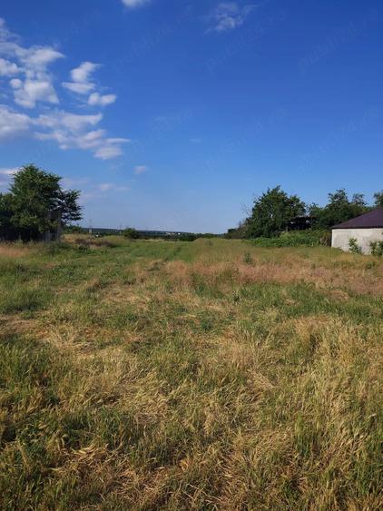 Teren de 3200 mp, în Bălăceanca