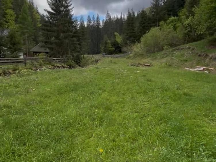 Teren Construcții intravilan de 2700 mp, în Pojorâta