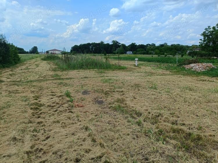 Teren de 3092 mp, în Bolintin-Deal