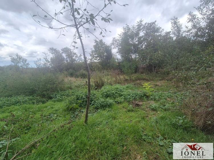 Casă individuală cu 3 camere cu Canalizare în Ohaba