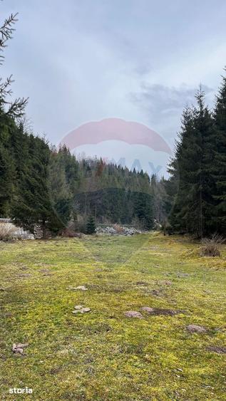 Teren de 4331 mp, în Arieșeni