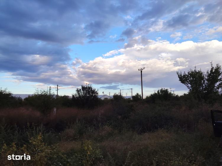 4 terenuri extravilane, 22.000 mp, in zona Verguleasa, langa Buzau - 6
