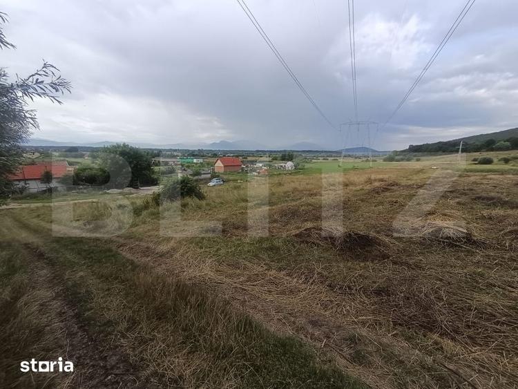 Teren 3.600 mp in Podu Olt Ideal pentru livada, cabana sau invest - 1