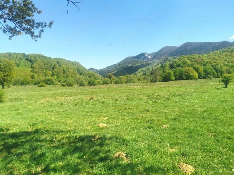 Teren de 25500 mp, în Cheile Râșnoavei