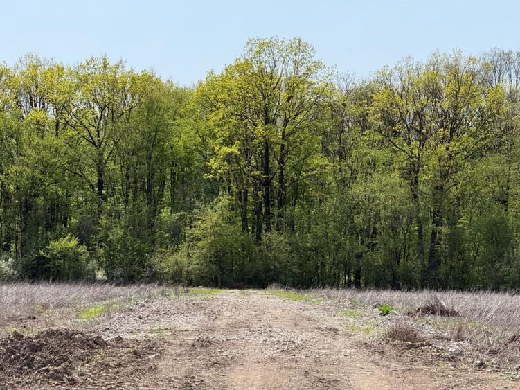 Teren Construcții intravilan de 500 mp, în Tunari
