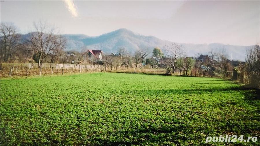 Teren de 2890 mp, în Homorâciu