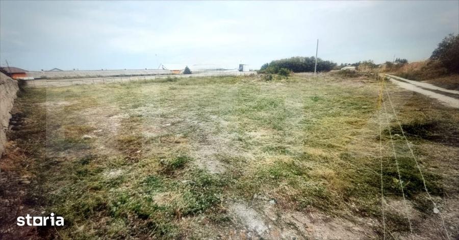 Teren de 5000 mp, în Bărcănești