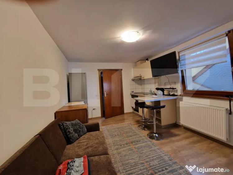 Inchiriere apartament cu 2 camere la casa - 3