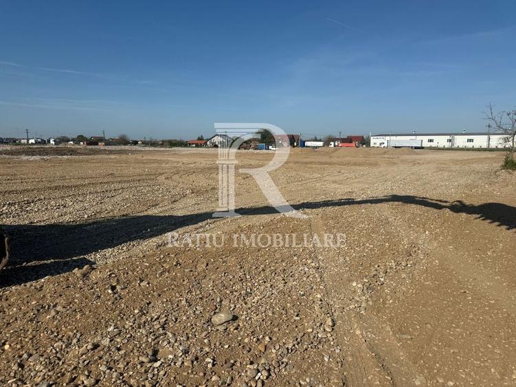Teren Construcții intravilan de 10000 mp, în Sântion
