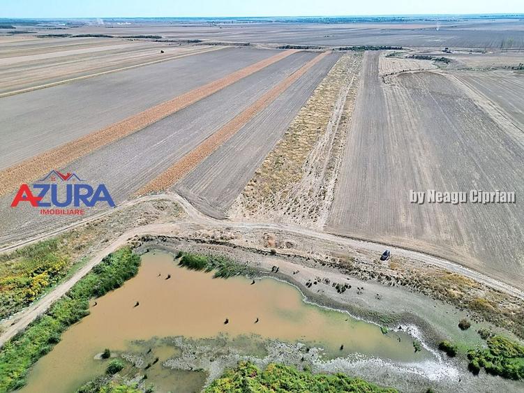 Teren agricol extravilan de 47200 mp, în Căteasca