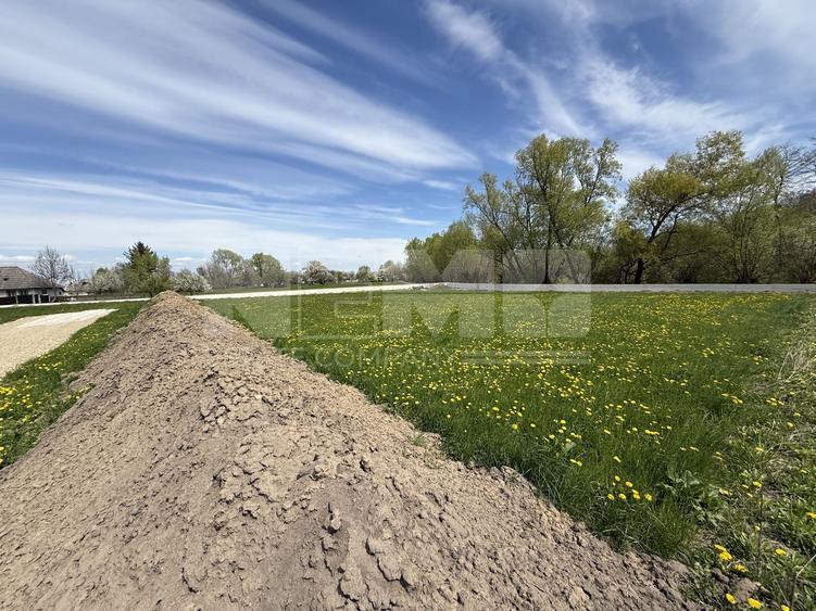 Teren Construcții intravilan de 23000 mp, în Horodnic de Jos