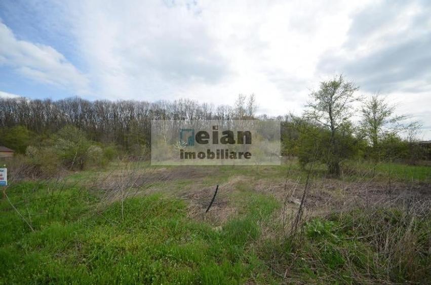 Teren Construcții intravilan de 3200 mp, în Snagov