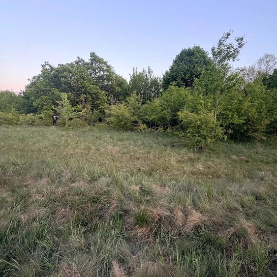 Teren de 4647 mp, în Cozia