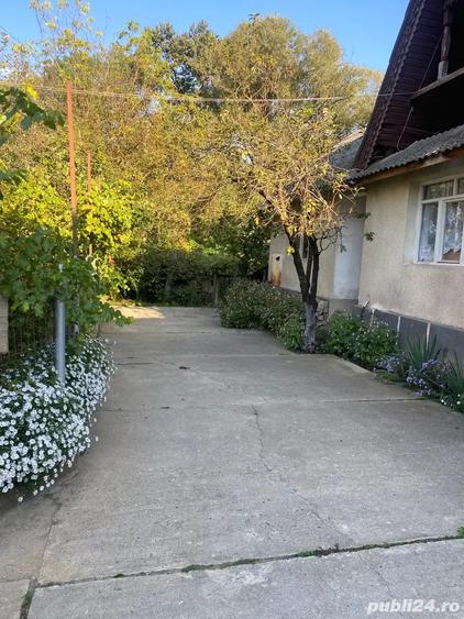 Casă cu 5 camere în Central