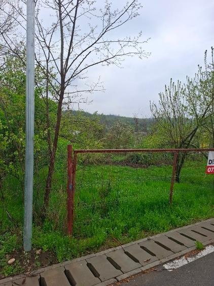 Teren Construcții intravilan de 3000 mp, în Sărățel