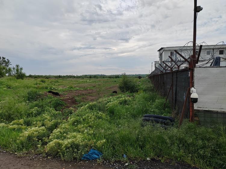 Teren Construcții intravilan de 5000 mp, în Odăi