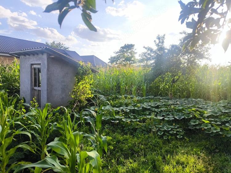 Casă cu 3 camere cu Teren 1900 Mp în Zorleni