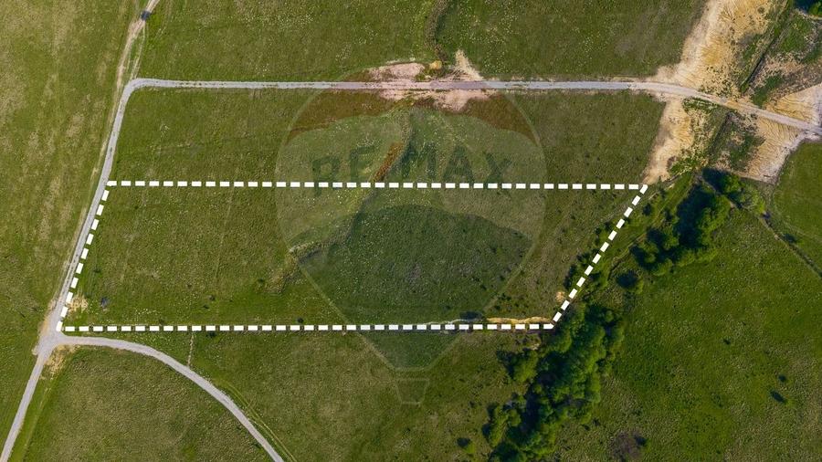 Teren agricol extravilan de 13800 mp, în Glăjărie
