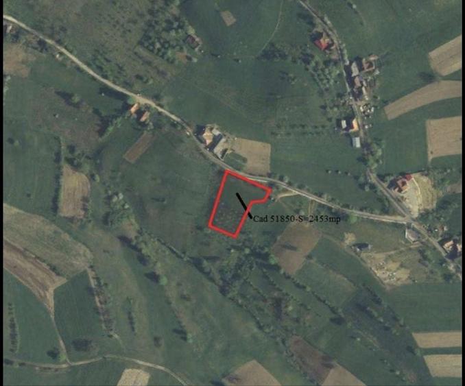 Vand teren intravilan construibil cu panorama deosebita - 2453 mp Rosia - 6