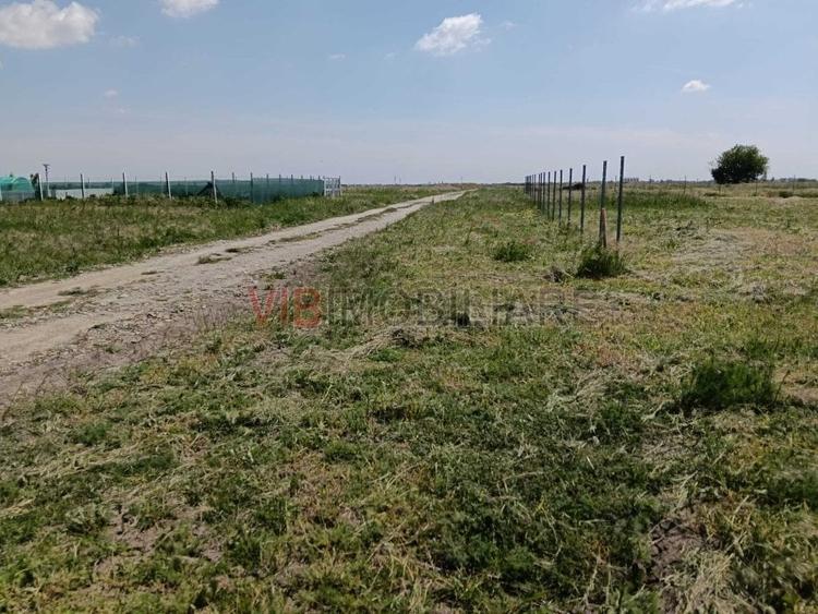 Terenuri de vânzare | Săcălaz|  oportunități investiționale - 6