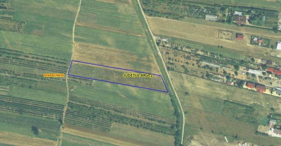 Teren de 7545 mp, în Mărăcineni