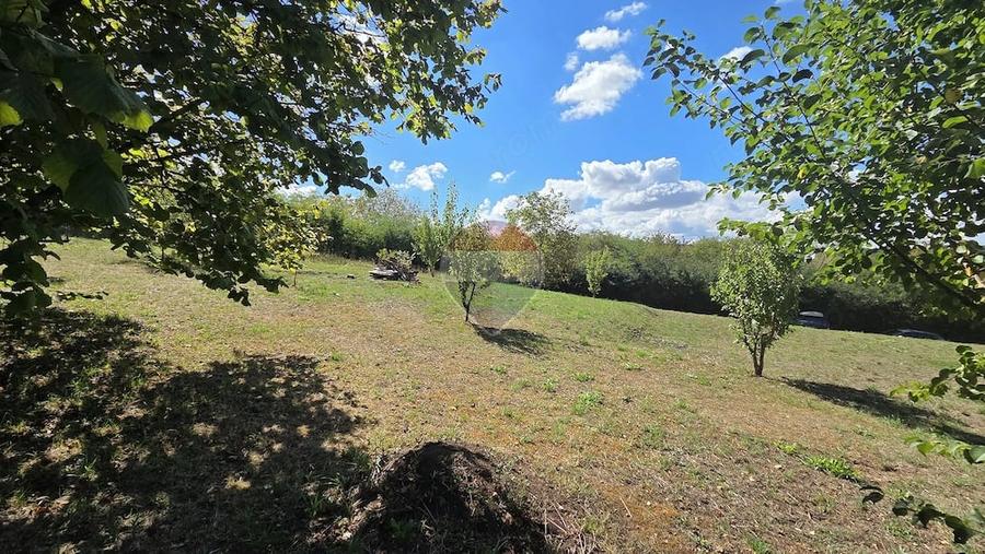 Casă cu Teren 4345 Mp în Calea Sighisoarei