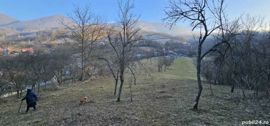 Teren de 4300 mp, în Cornereva