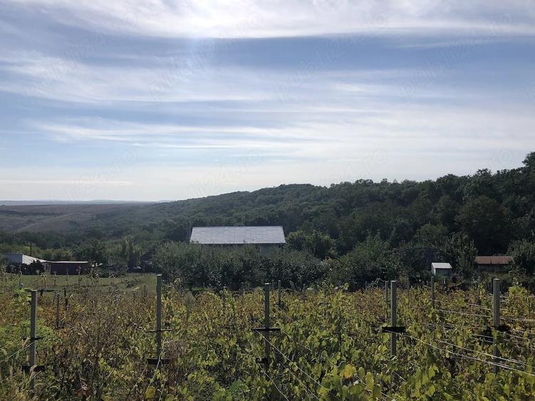 Casă cu Teren 900 Mp în Central