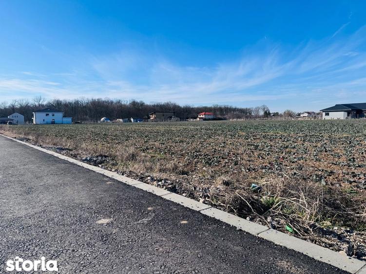 Teren de 1600 mp, în Snagov